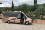 Mercedes-Benz SPIRIT Minibus