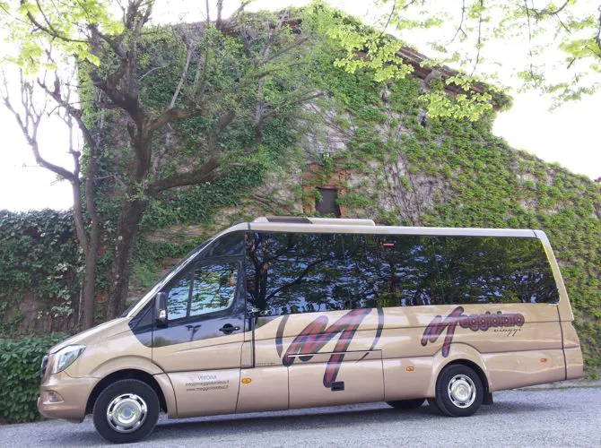 Mercedes-Benz SPIRIT Minibus