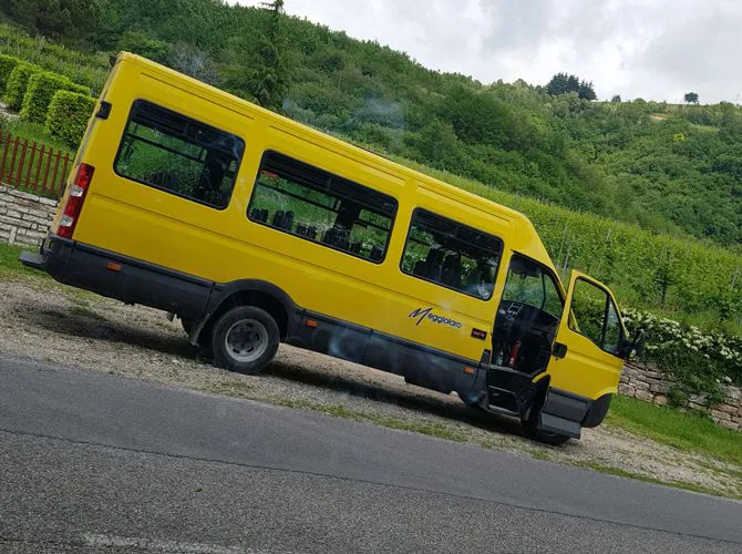 Scuolabus da 32 a 50 posti